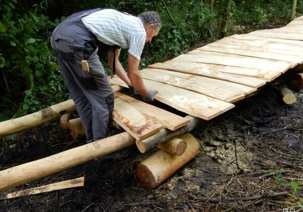 August 2021 - Aufbau Bohlenpfad im Bürgerwald Thiede