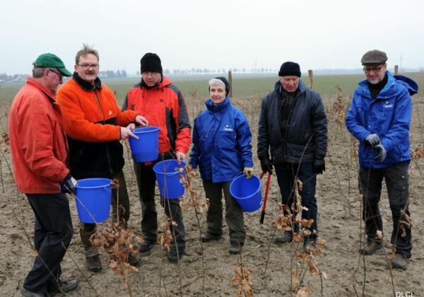 Februar 2017 - Winteraktion im Bürgerwald Thiede